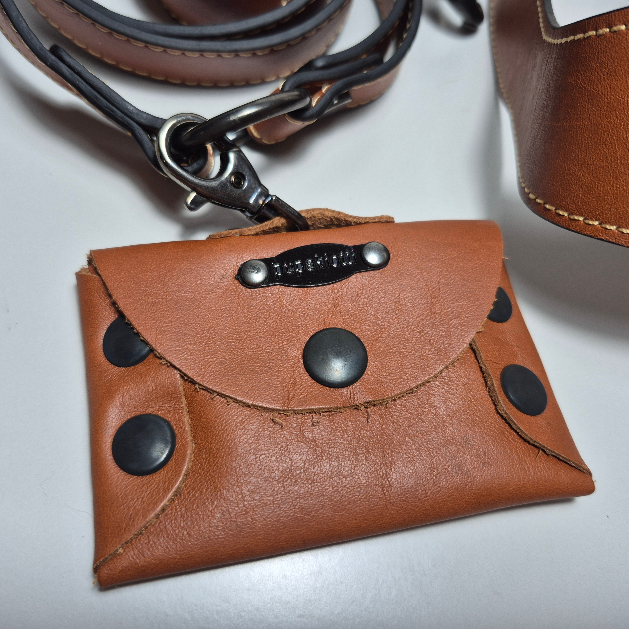 Set Pettorina e Guinzaglio in Pelle con Porta Sacchetti